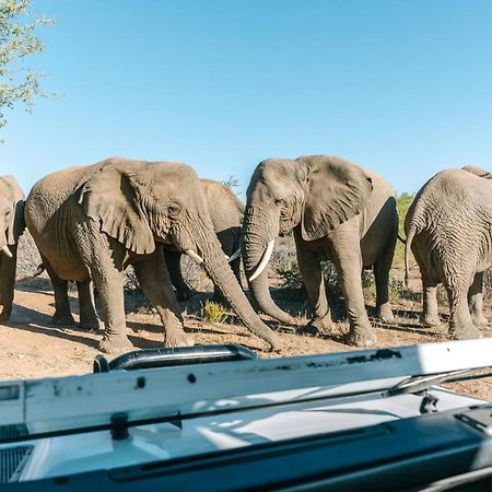 Omaruru Game Lodge المظهر الخارجي الصورة