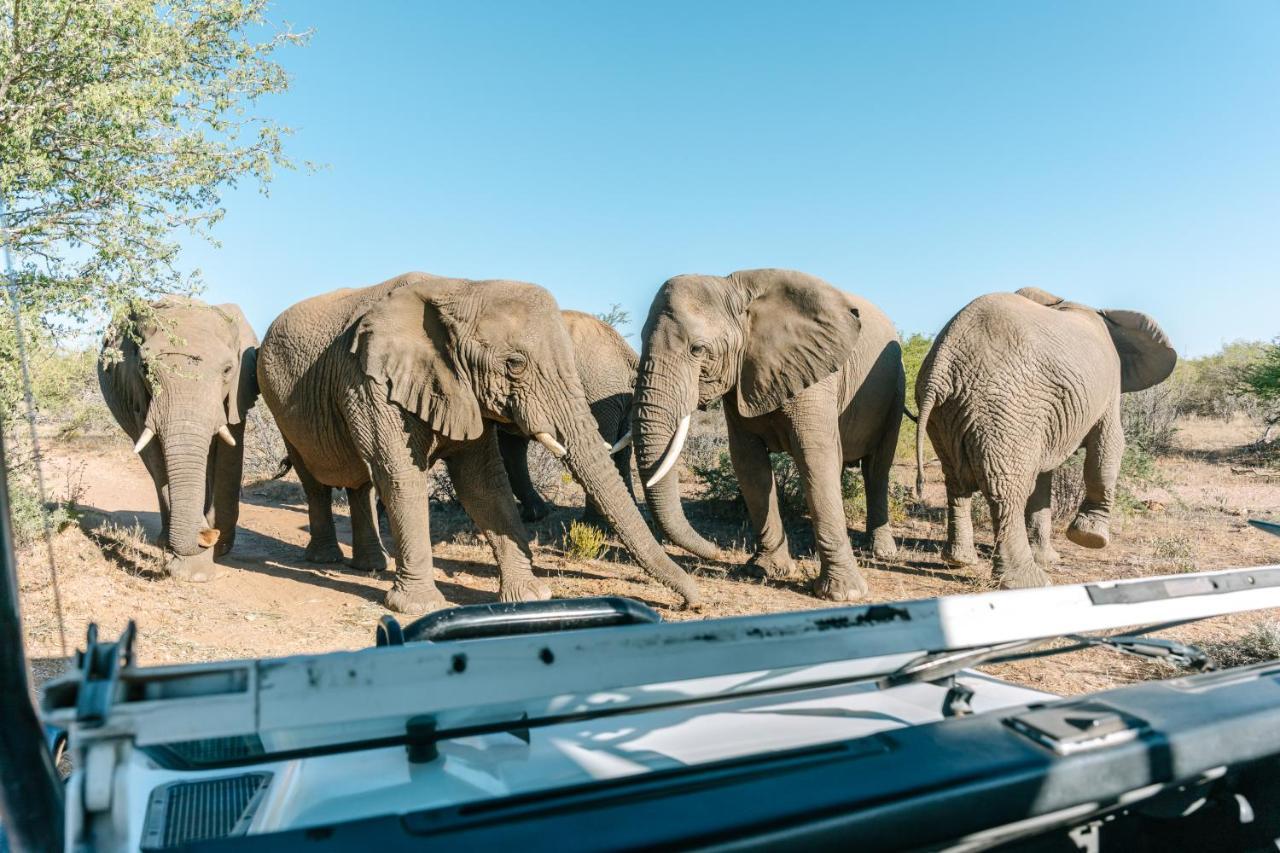 Omaruru Game Lodge المظهر الخارجي الصورة