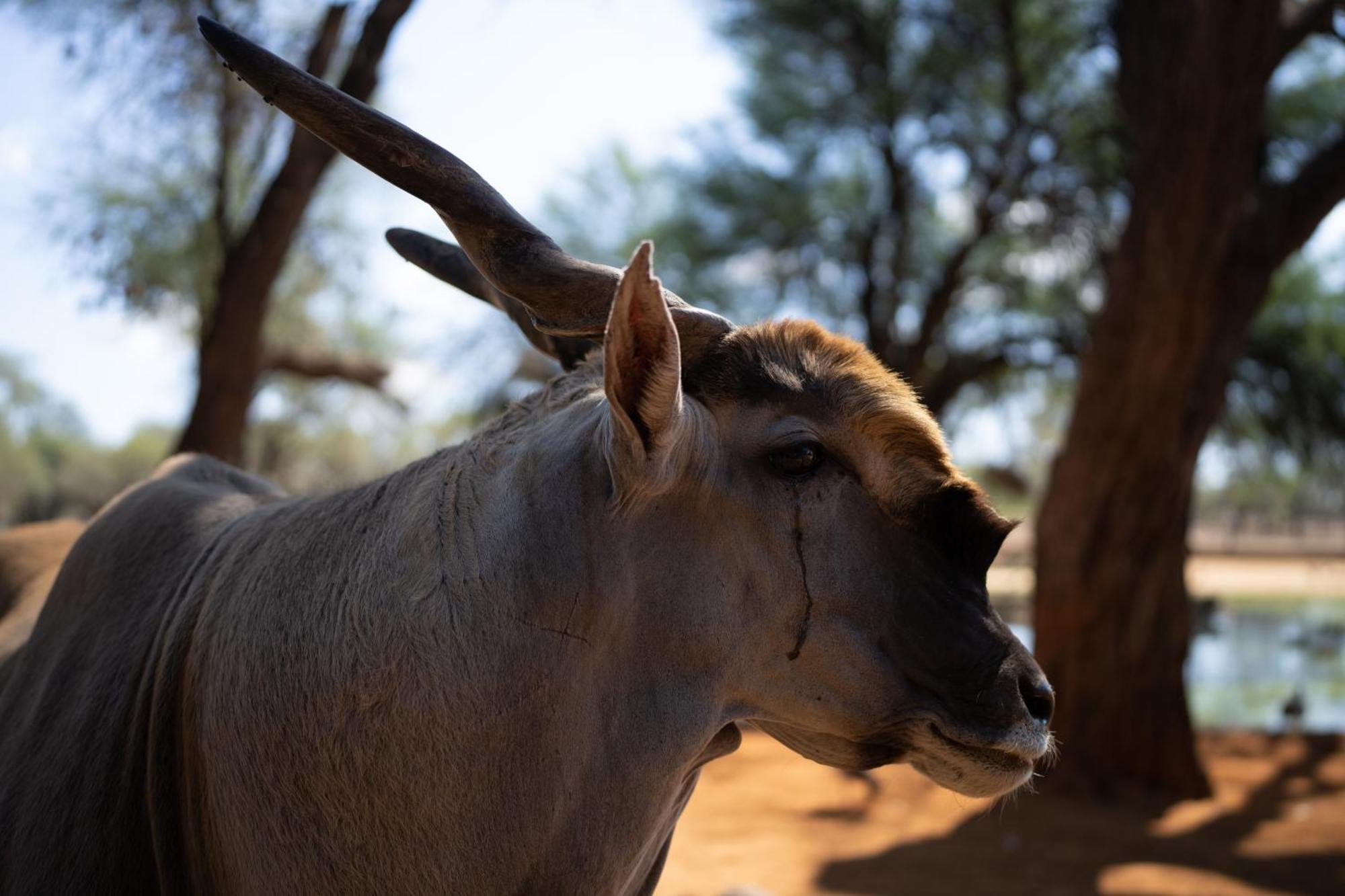 Omaruru Game Lodge المظهر الخارجي الصورة