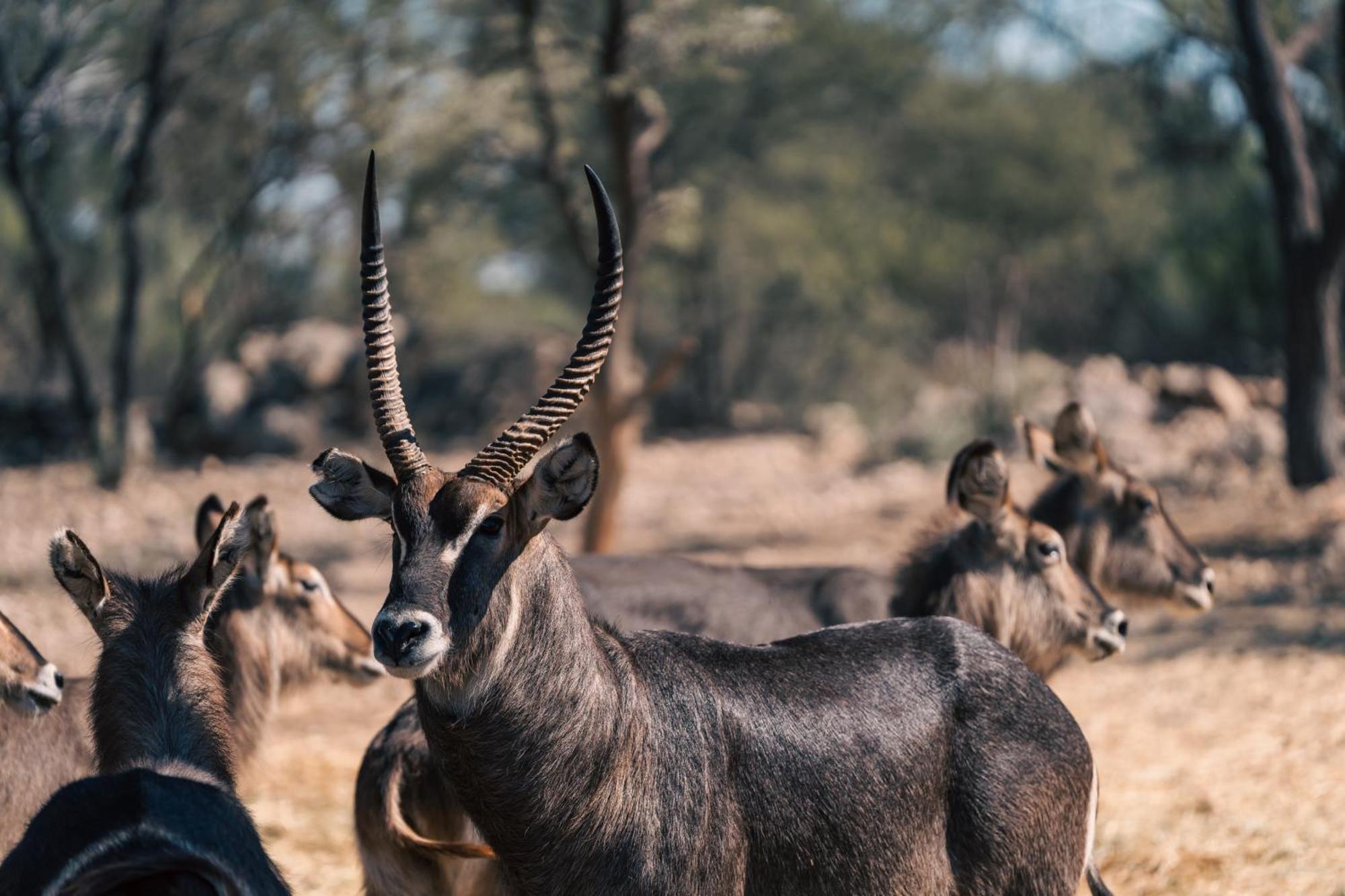 Omaruru Game Lodge المظهر الخارجي الصورة