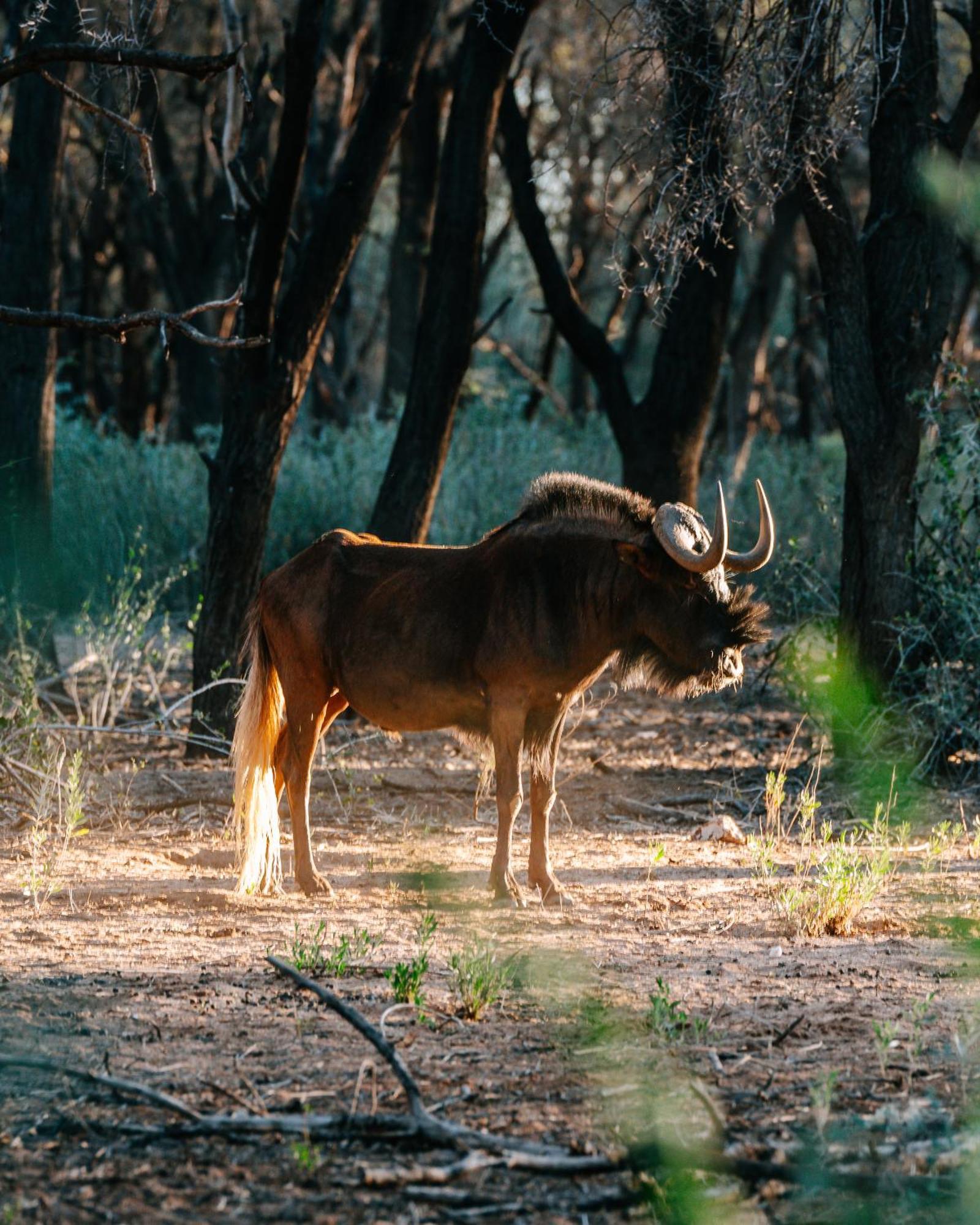 Omaruru Game Lodge المظهر الخارجي الصورة