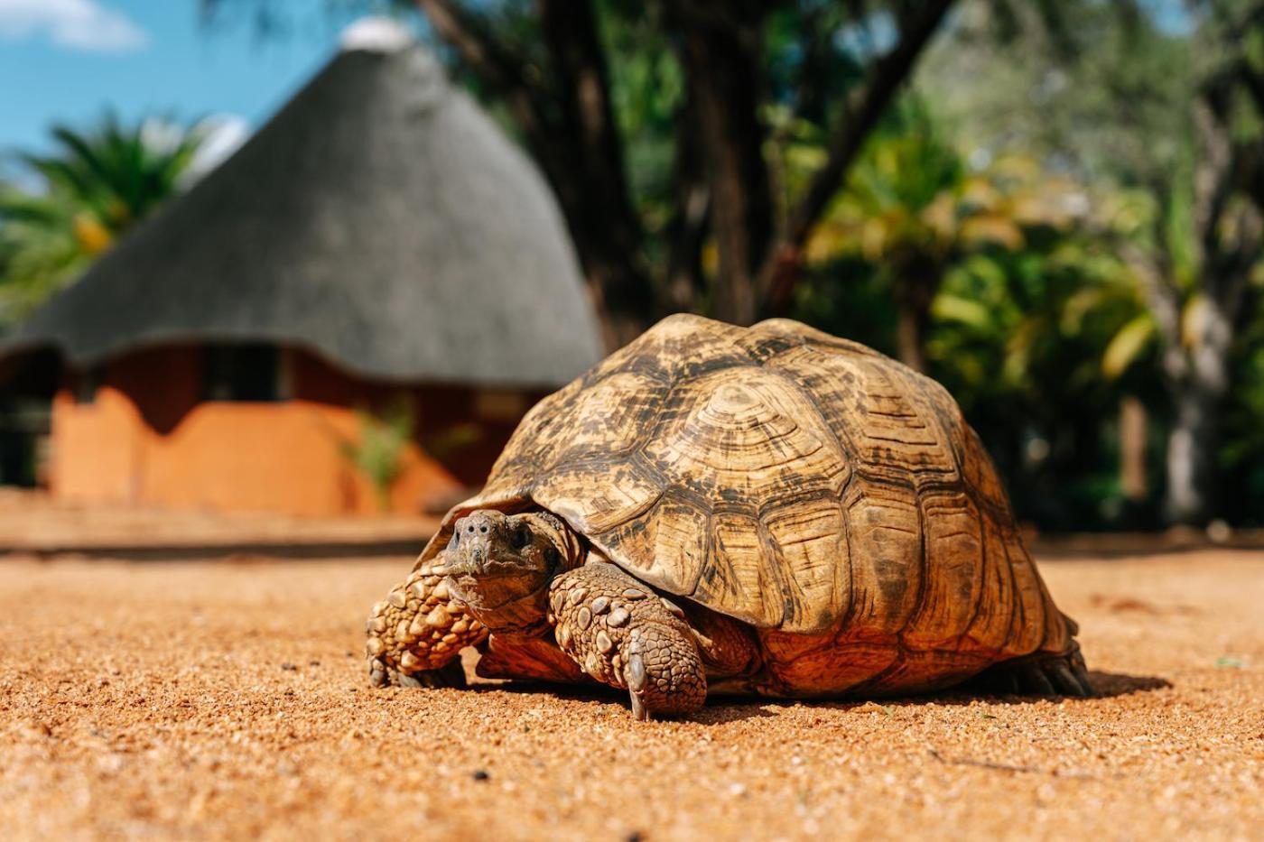 Omaruru Game Lodge المظهر الخارجي الصورة